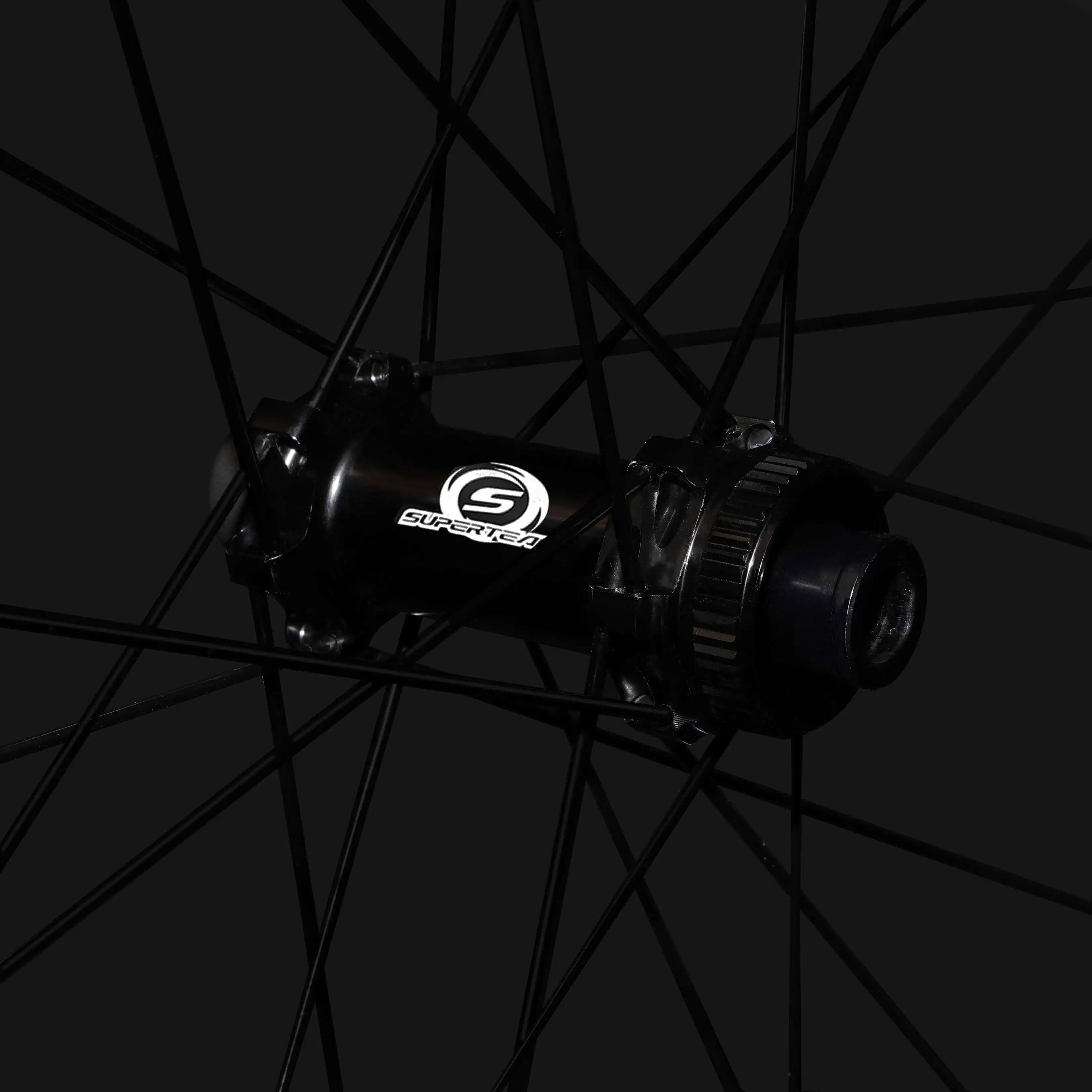 Classic PRO D28-45 Disc Brake White Decals PILLAR WING21 Spokes - Image 4