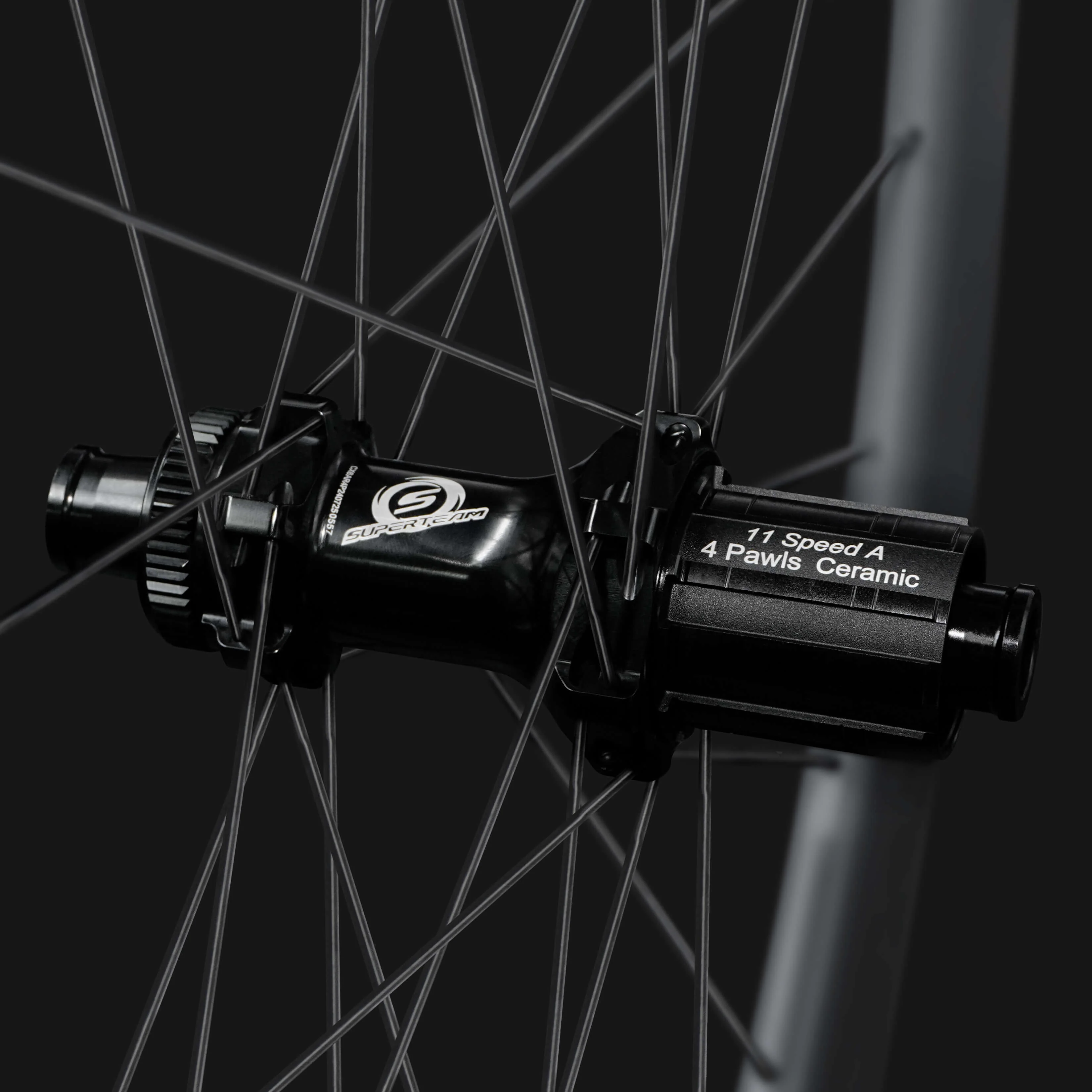 Classic PRO D28-60 Disc Brake Black Decals PILLAR WING21 Spokes - Image 5