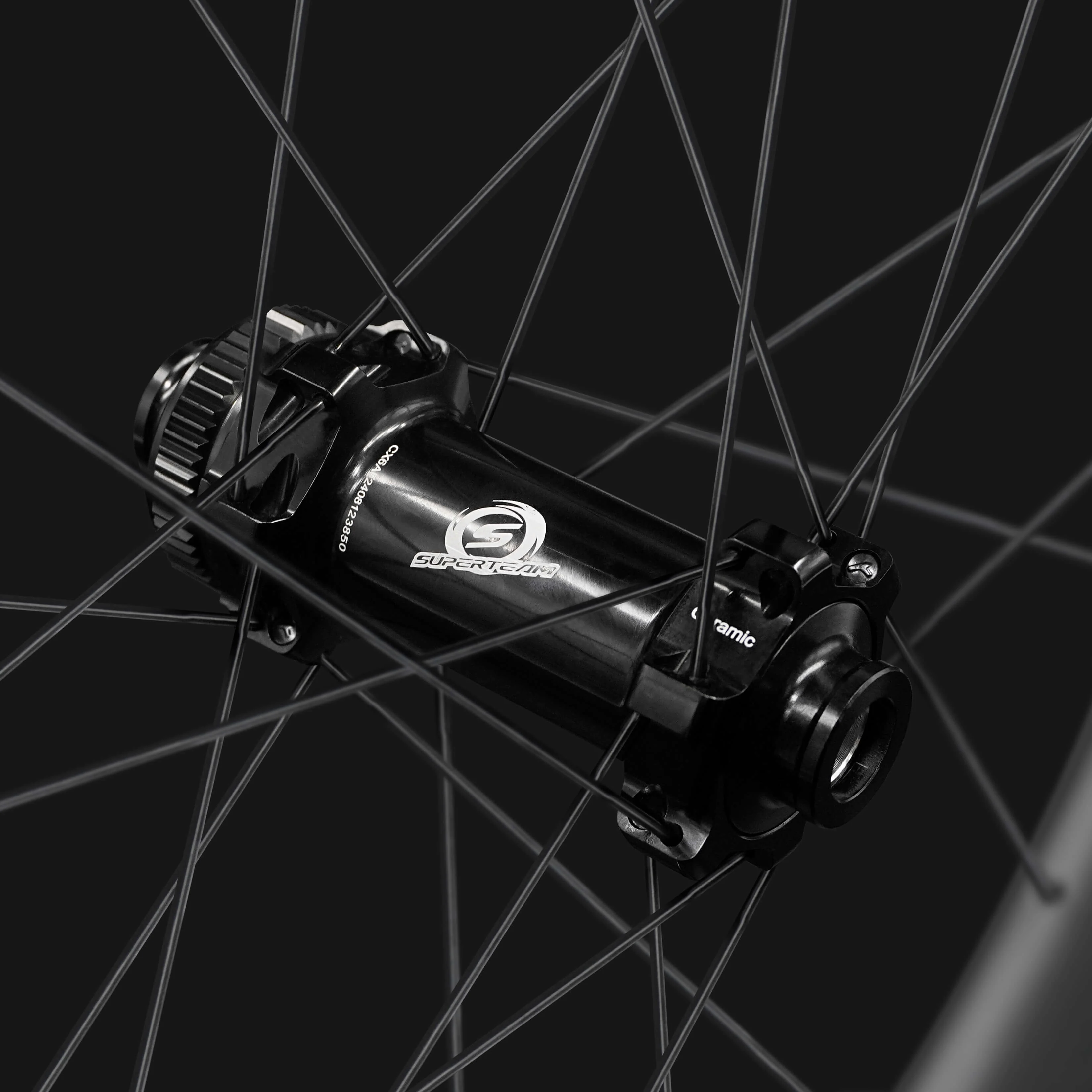 Classic PRO D30-88 Disc Brake Black Decals PILLAR WING21 Spokes - Image 4